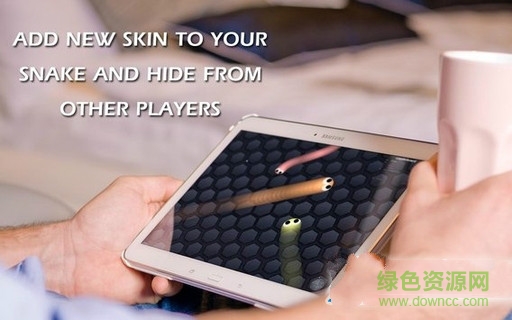 蛇蛇大作戰(zhàn)隱形皮膚美化版 v1.0 安卓版 0