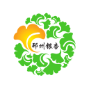 邳州銀杏