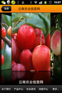 云南農(nóng)業(yè)信息網(wǎng) V1.2 安卓版 2