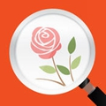微軟識花(花草識別器)ios版