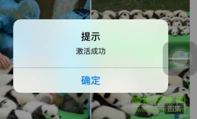 金手指授權(quán)碼 金手指授權(quán)碼