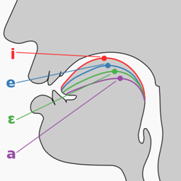 英語國(guó)際音標(biāo)學(xué)習(xí)