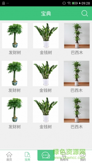 綠植花卉手機版2