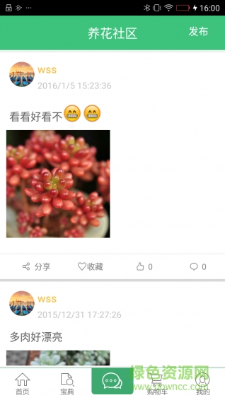 綠植花卉手機版3