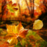金色秋天動態(tài)壁紙客戶端(Autumn Live Wallpaper)
