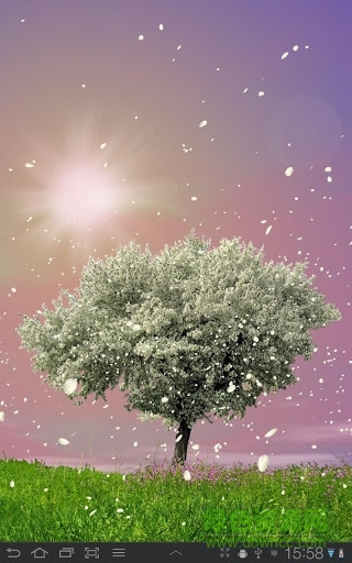 春天動(dòng)態(tài)壁紙(Spring Trees) v1.46 安卓版 2