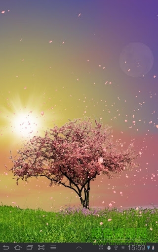 春天動(dòng)態(tài)壁紙(Spring Trees) v1.46 安卓版 3