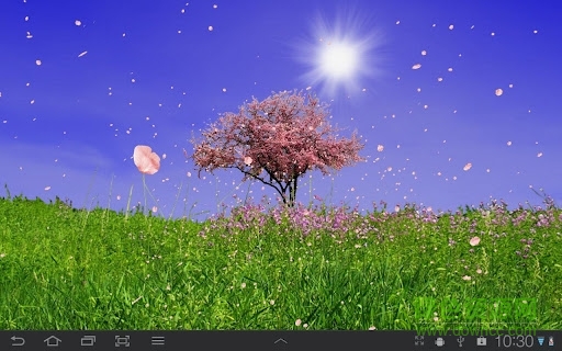 春天動(dòng)態(tài)壁紙(Spring Trees) v1.46 安卓版 4
