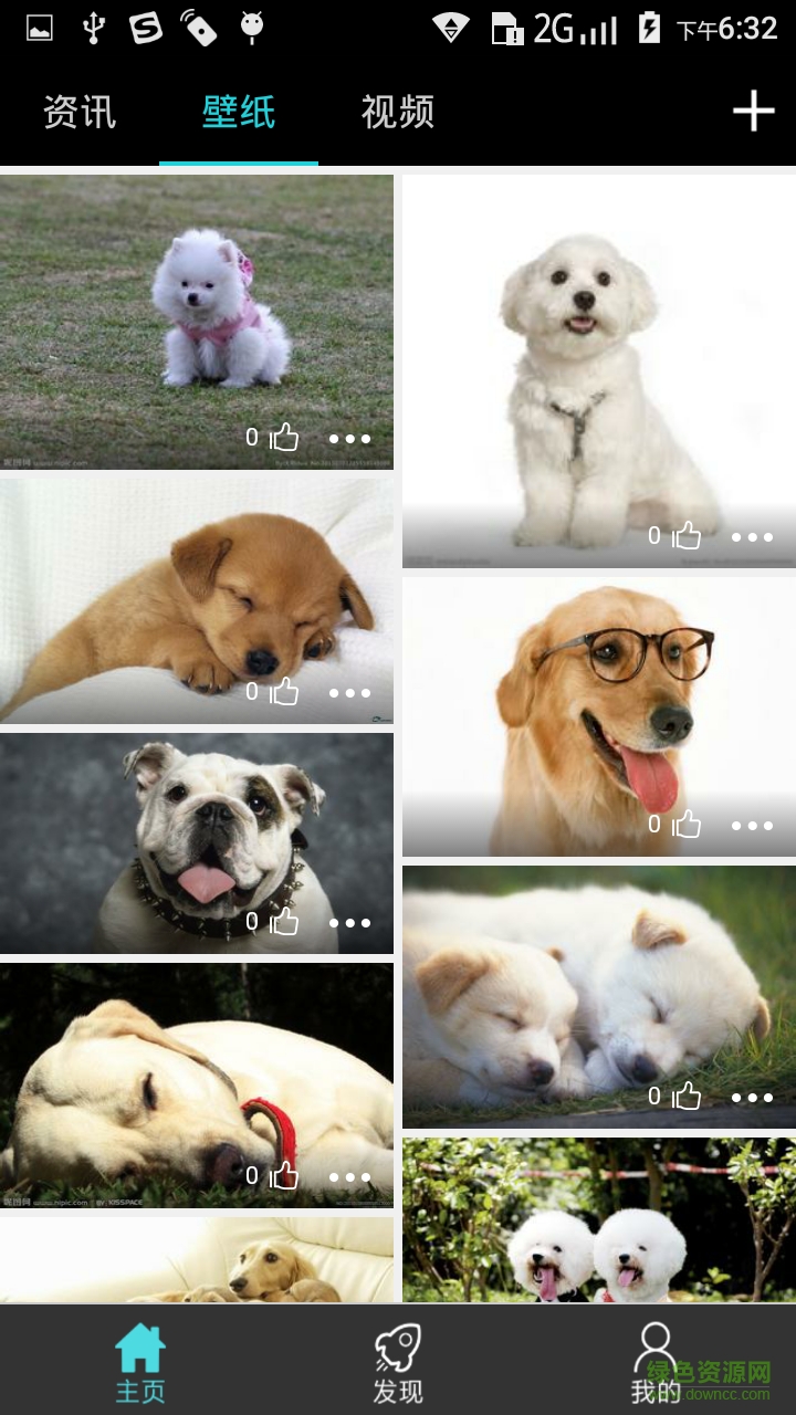 寵物專區(qū) 寵物專區(qū)app