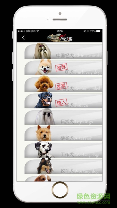 pet寵趣手機版 v1.0 安卓版 2