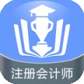 注冊會(huì)計(jì)師金考點(diǎn)
