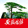 安徽手機(jī)信訪
