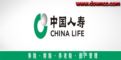 中國(guó)人壽軟件