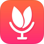 搶單雷達(dá)