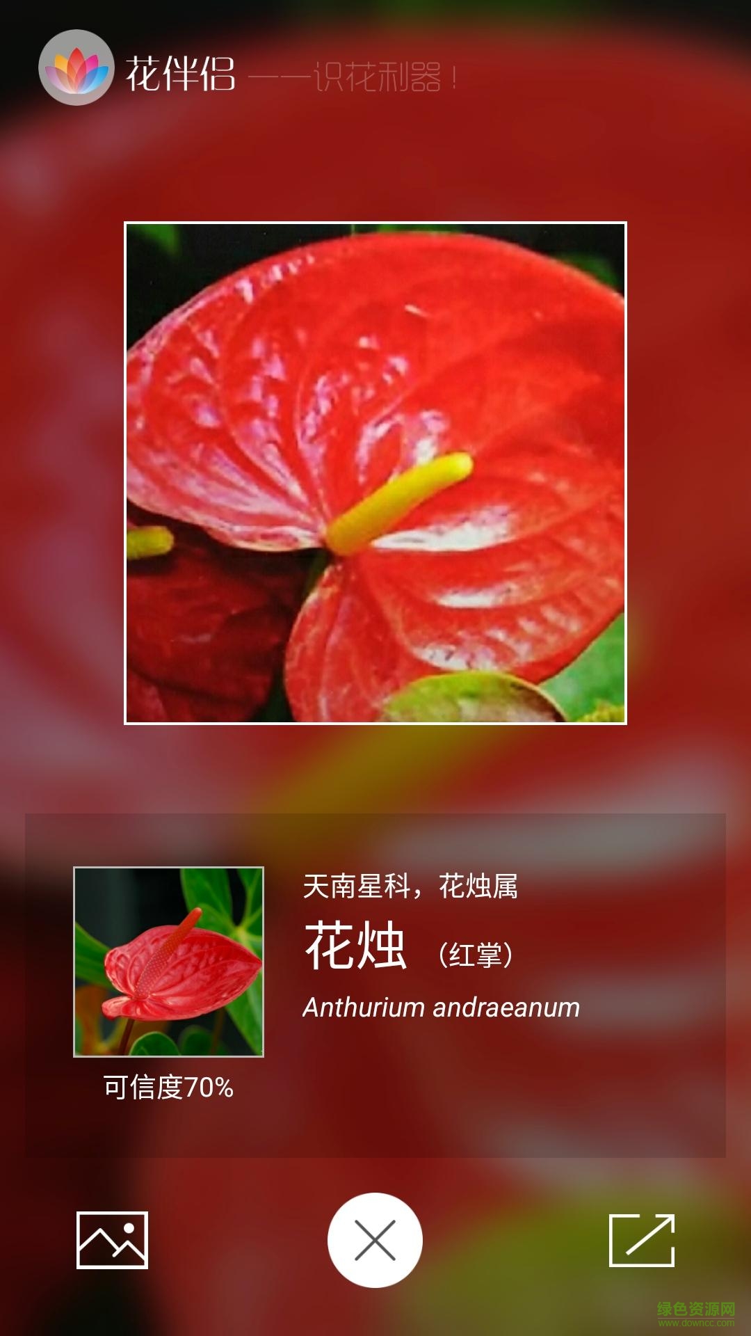 花伴侶電腦版 v3.2.4 官方pc版 3