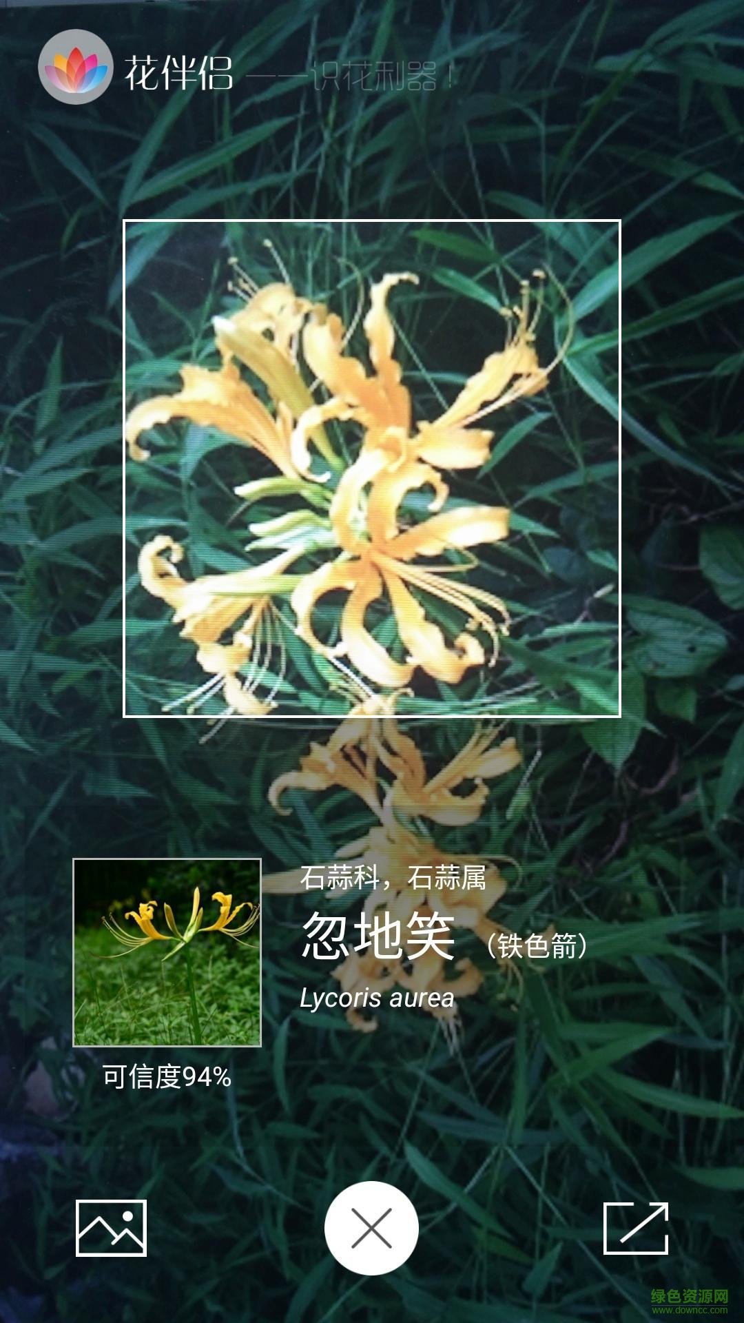 花伴侶電腦版 v3.2.4 官方pc版 1