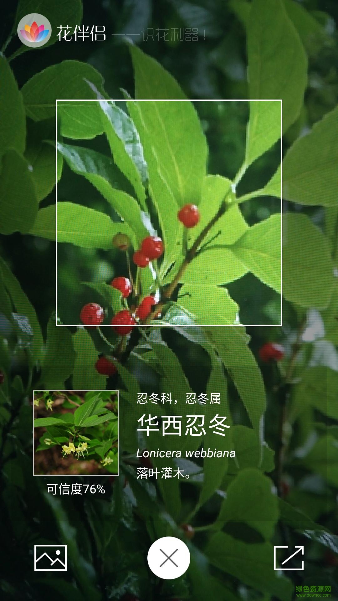 花伴侶電腦版 v3.2.4 官方pc版 0