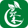 湛瀘茶城