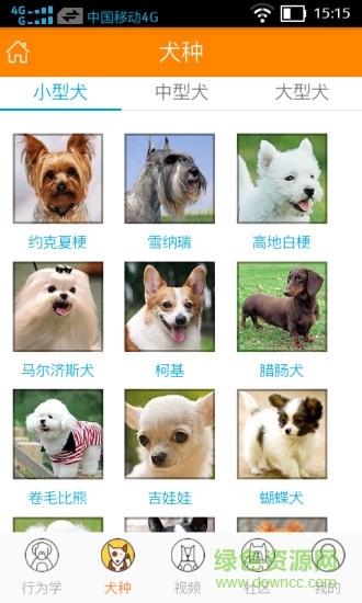 寵教官手機(jī)版 v11.11.16 安卓版 1