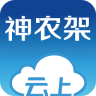 云上神農(nóng)架