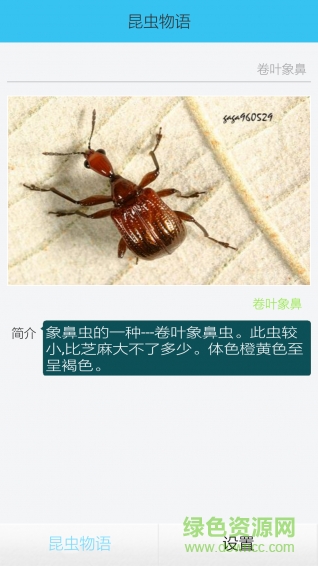 昆蟲(chóng)物語(yǔ)app