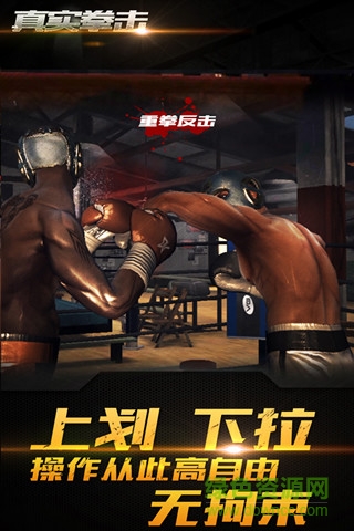 3d真實拳擊蘋果版 v2.0 iphone版 2