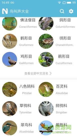 鳥叫聲大全客戶端0