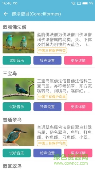 鳥叫聲大全客戶端1