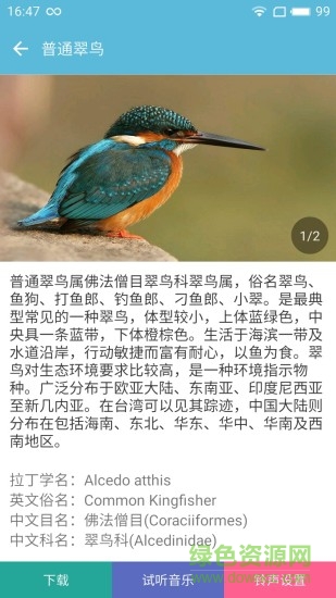 鳥叫聲大全客戶端2