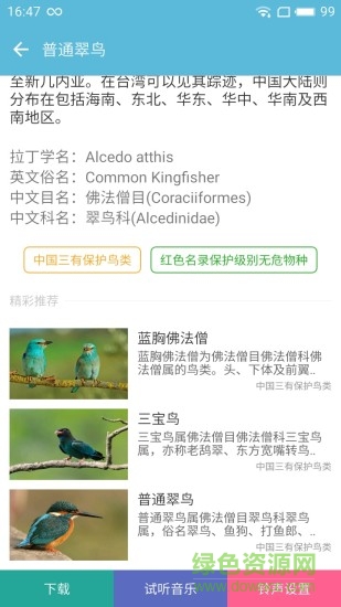 鳥叫聲大全客戶端3