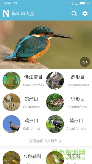 鳥叫聲大全客戶端4