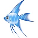 魚眼COK精靈獨立版
