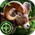 荒野獵手中文破 解版(Wild Hunter)