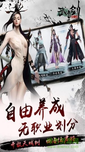 果盤版武當劍