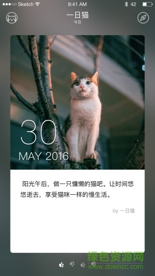 一日貓手機(jī)客戶端 v2.4.7 安卓版 1