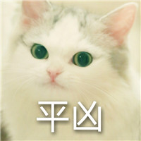 超兇貓表情包