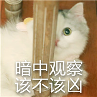 超兇貓表情包下載