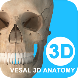 維薩里3d解剖全集終身正式版