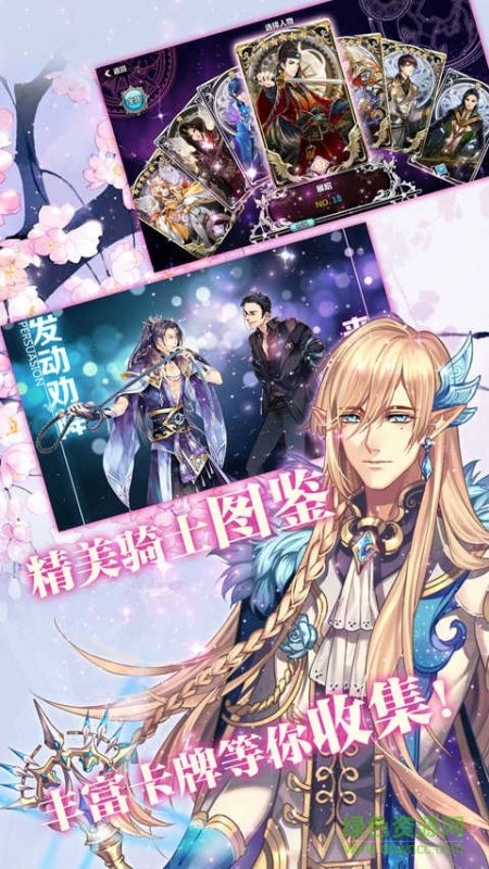 王與異界騎士果盤版