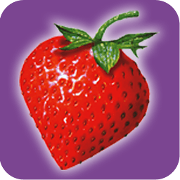 香港草莓網(wǎng)app(strawberrynet)