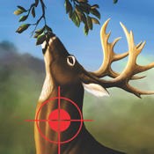 叢林獵鹿游戲(Deer Hunting in Jungle)
