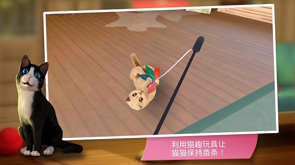 貓舍手游手機(jī)版 v2.0.19255 安卓版 2