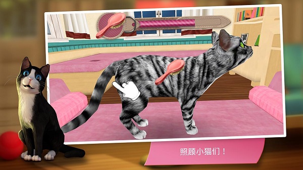 貓舍手游手機(jī)版 v2.0.19255 安卓版 4