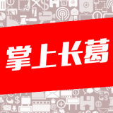 掌上長葛