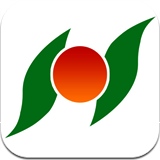 掌上平定