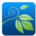 爬山虎(Ivy Share)