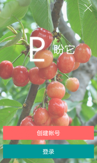 盼它Pntar(農(nóng)產(chǎn)品選購)3