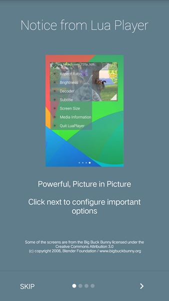 Lua播放器(Lua Player Pro) v1.4.1 安卓漢化專業(yè)版 1