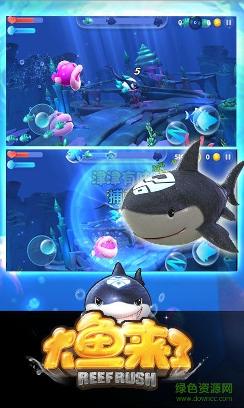 大魚來(lái)了 v1.0 安卓版 0