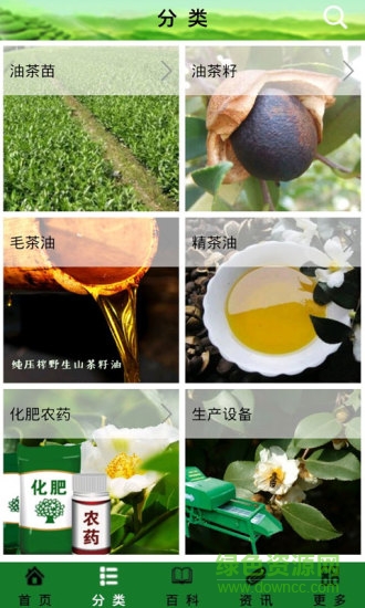 山茶油 v1.0 安卓版 1
